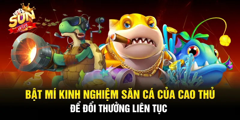 Học lỏm mẹo chơi bắn cá Sunwin của cao thủ để đổi tiền thưởng liên tiếp