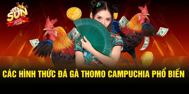 Khám phá hình thức đá gà cựa tròn tại cổng game SUNWIN