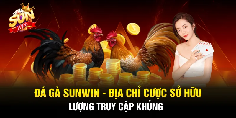 Đá Gà Sunwin - Địa Chỉ Cược Sở Hữu Lượng Truy Cập Khủng