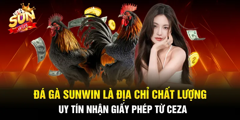 Đá gà Sunwin là địa chỉ chất lượng, uy tín nhận giấy phép từ CEZA