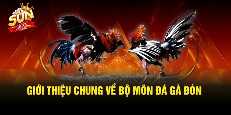Đá gà đòn thu hút rất nhiều người tham gia