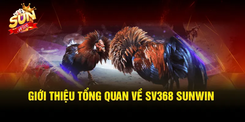 Chất lượng game tại sảnh chơi đỉnh cao