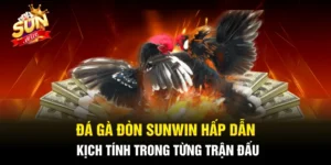 Đá Gà Đòn SUNWIN Hấp Dẫn, Kịch Tính Trong Từng Trận Đấu